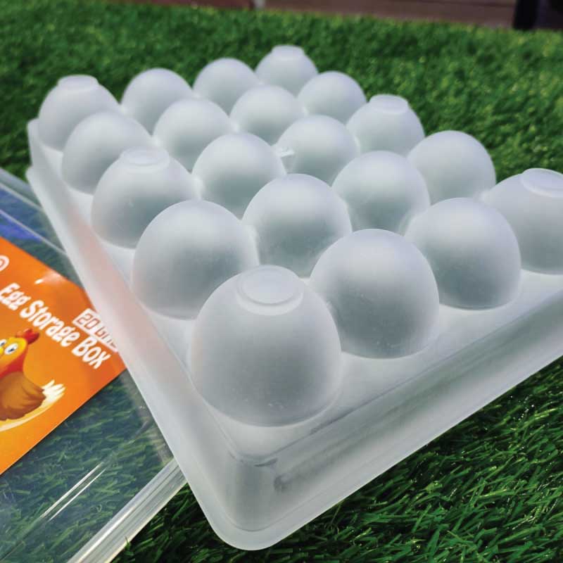 20 GRID EGG STORAG BOX - Image 4