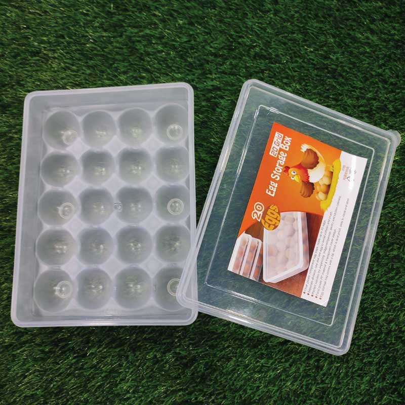 20 GRID EGG STORAG BOX - Image 5